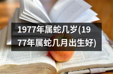 <h3>1977年属蛇几岁(1977年属蛇几月出生好)