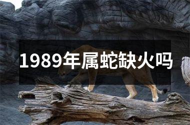 1989年属蛇缺火吗