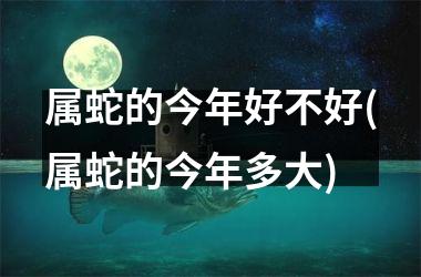 属蛇的今年好不好(属蛇的今年多大)