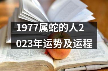 1977属蛇的人2025年运势及运程
