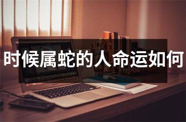 时候属蛇的人命运如何