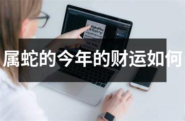 属蛇的今年的财运如何