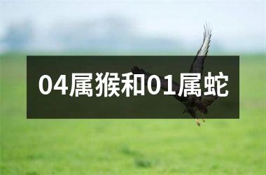 04属猴和01属蛇