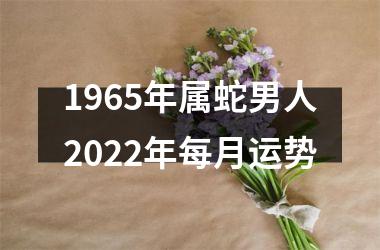 <h3>1965年属蛇男人2025年每月运势