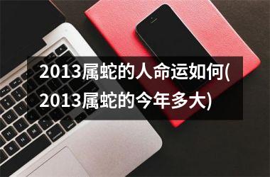 2013属蛇的人命运如何(2013属蛇的今年多大)