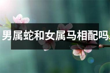 男属蛇和女属马相配吗