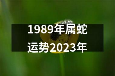 1989年属蛇运势2025年