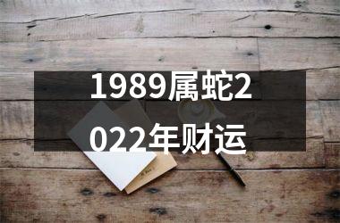 1989属蛇2025年财运