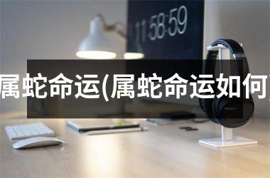 <h3>属蛇命运(属蛇命运如何)
