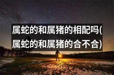 属蛇的和属猪的相配吗(属蛇的和属猪的合不合)