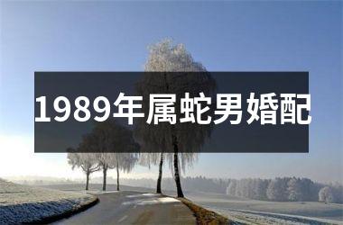 1989年属蛇男婚配