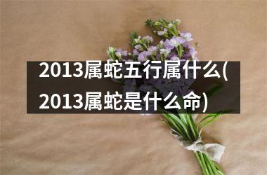 <h3>2013属蛇五行属什么(2013属蛇是什么命)
