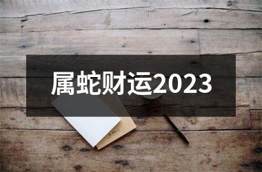 <h3>属蛇财运2025