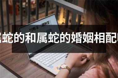 属蛇的和属蛇的婚姻相配吗