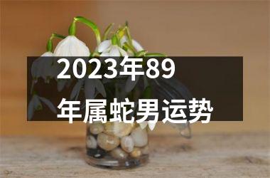 2025年89年属蛇男运势