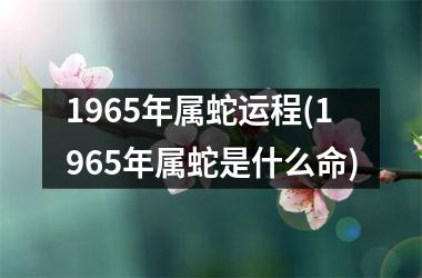 1965年属蛇运程(1965年属蛇是什么命)