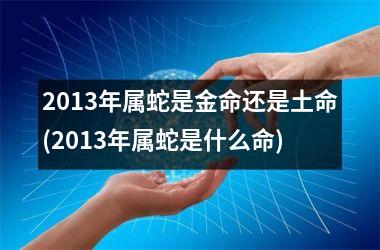 <h3>2013年属蛇是金命还是土命(2013年属蛇是什么命)