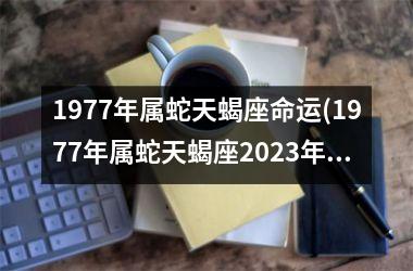 1977年属蛇天蝎座命运(1977年属蛇天蝎座2025年运势)