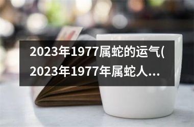 2023年1977属蛇的运气(2023年1977年属蛇人的全年运势男)