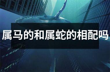 <h3>属马的和属蛇的相配吗