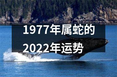 <h3>1977年属蛇的2025年运势