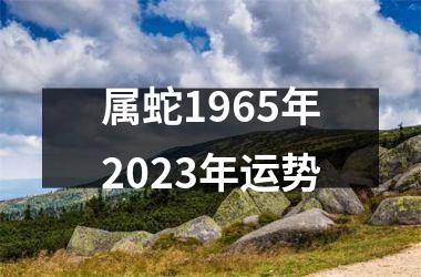 属蛇1965年2025年运势