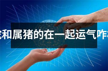 蛇和属猪的在一起运气咋样