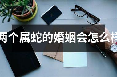 两个属蛇的婚姻会怎么样