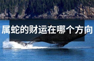<h3>属蛇的财运在哪个方向