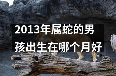 2013年属蛇的男孩出生在哪个月好