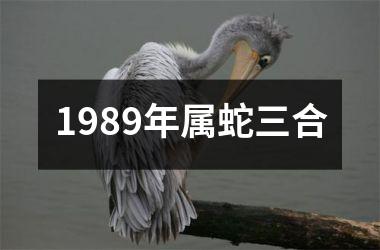1989年属蛇三合