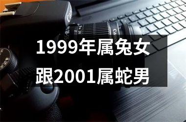 1999年属兔女跟2001属蛇男