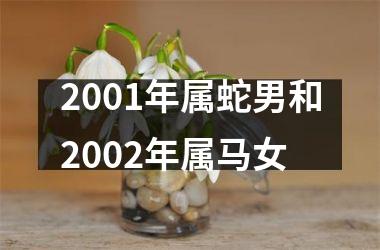 2001年属蛇男和2002年属马女