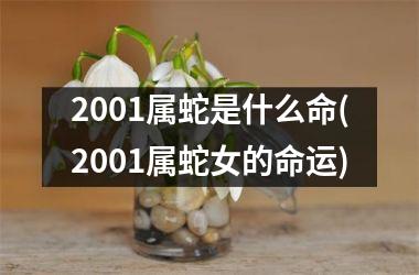 2001属蛇是什么命(2001属蛇女的命运)