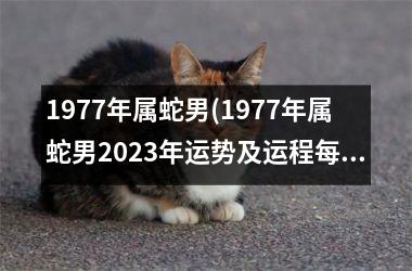 1977年属蛇男(1977年属蛇男2025年运势及运程每月运程)