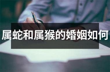 属蛇和属猴的婚姻如何