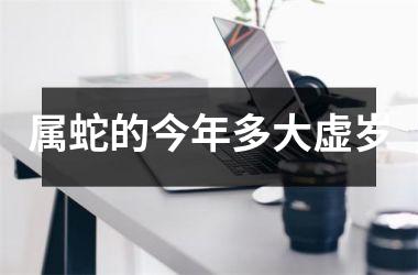 属蛇的今年多大虚岁
