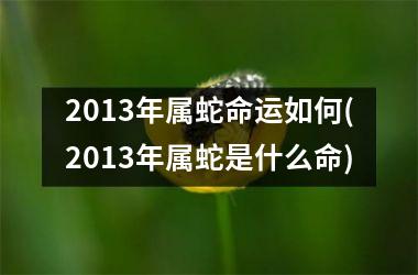 2013年属蛇命运如何(2013年属蛇是什么命)