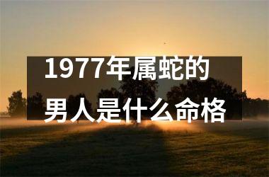 <h3>1977年属蛇的男人是什么命格