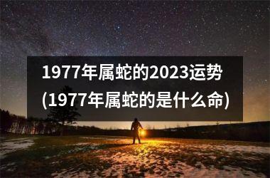 1977年属蛇的2025运势(1977年属蛇的是什么命)