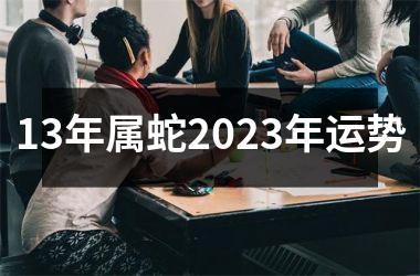 13年属蛇2023年运势