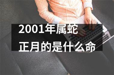 <h3>2001年属蛇正月的是什么命