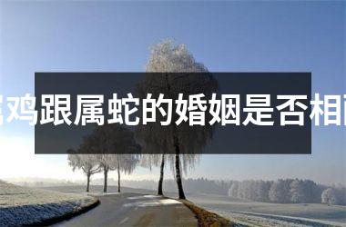 <h3>属鸡跟属蛇的婚姻是否相配