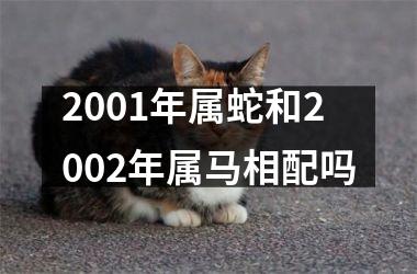 2001年属蛇和2002年属马相配吗