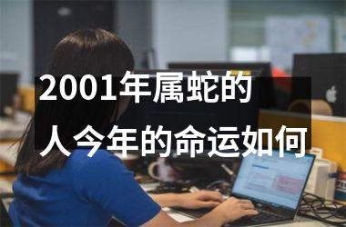 2001年属蛇的人今年的命运如何