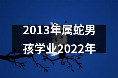 2013年属蛇男孩学业2025年