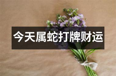 今天属蛇打牌财运