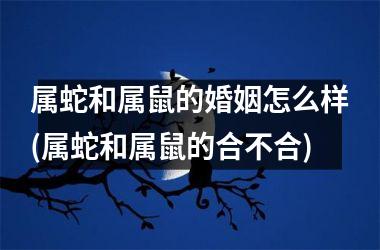 属蛇和属鼠的婚姻怎么样(属蛇和属鼠的合不合)