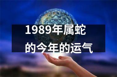 1989年属蛇的今年的运气