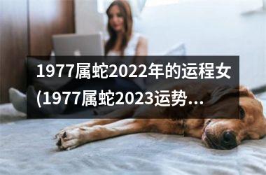 <h3>1977属蛇2025年的运程女(1977属蛇2025运势及运程详解每月)